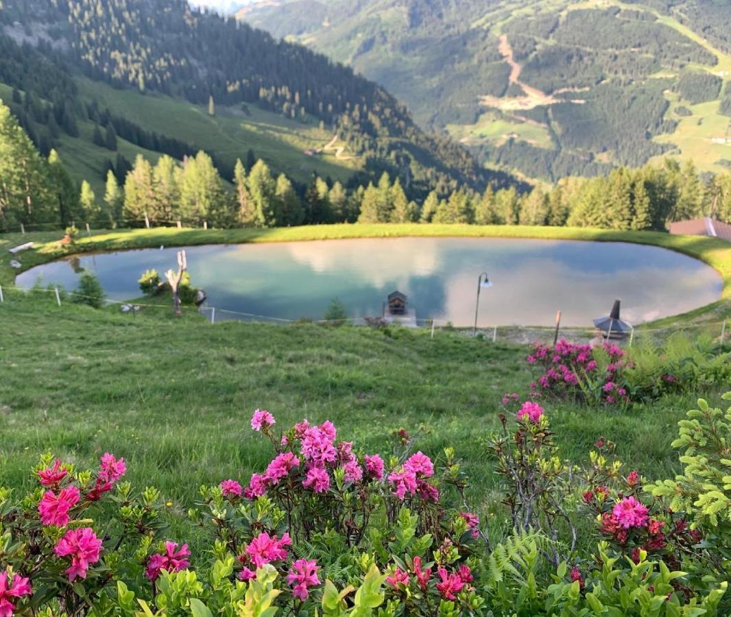 Hotel Alpina Клайнарль Екстер'єр фото